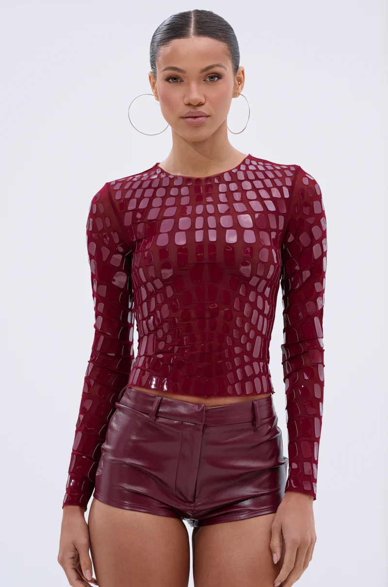 CAN SEE RIGHT THROUGH YOU MESH LONG SLEEVE TOP - Image 2