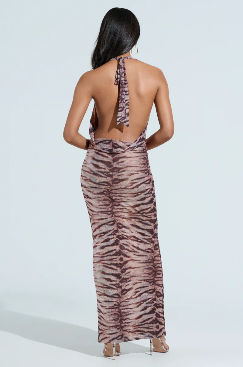 FIERCE ZEBRA MAXI DRESS - Image 4